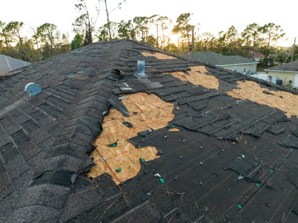 Best Gutter Installation and Repair  in Pearisburg, VA